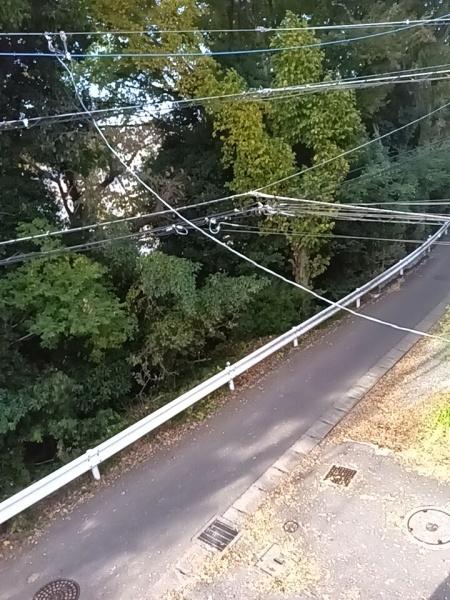 川崎市多摩区枡形５丁目の中古一戸建て