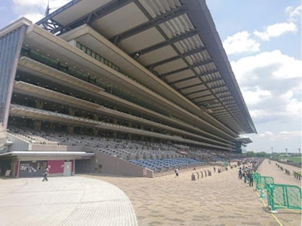 リムザ(東京競馬場)