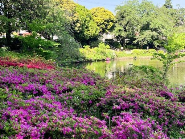 中野区白鷺２丁目の土地(妙正寺公園)