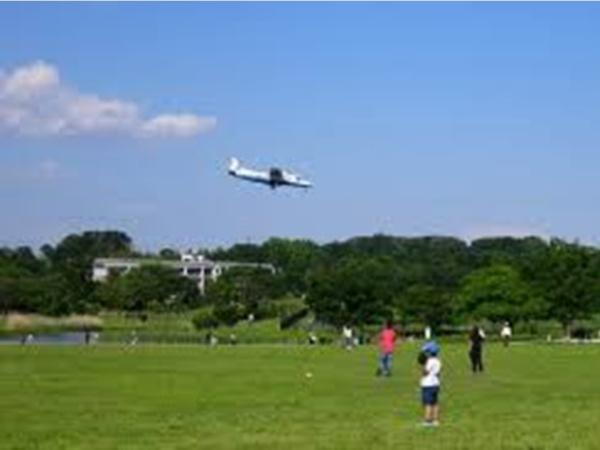 府中市紅葉丘２丁目(武蔵野の森公園)