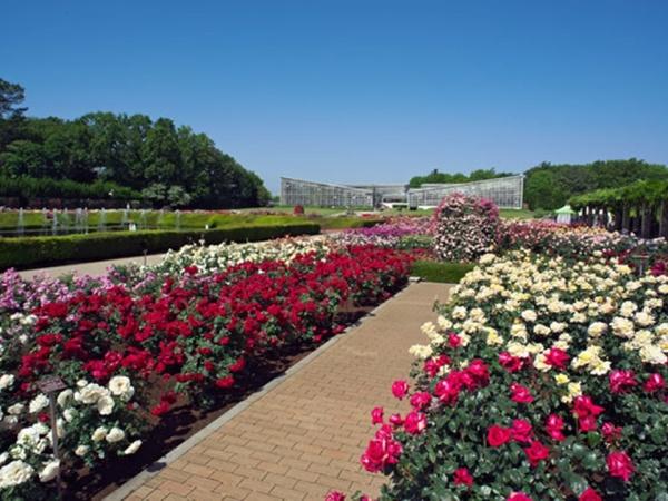 調布市深大寺南町５丁目　４号棟(神代植物公園)