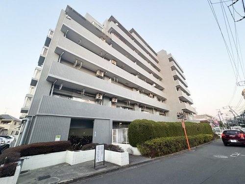 コスモ立川サングレイス