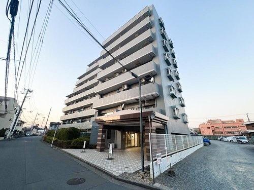 コスモ立川サングレイス
