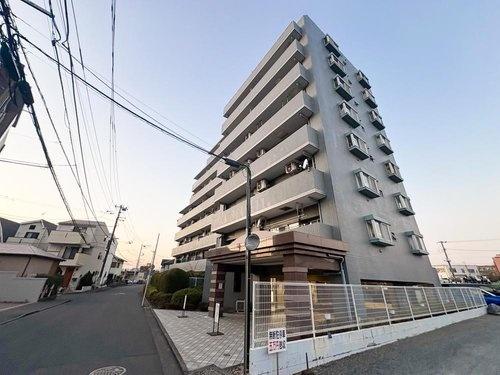 コスモ立川サングレイス