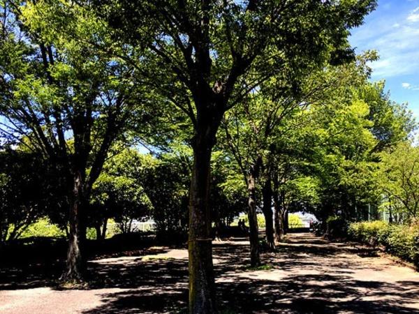 レーベンハイム多摩聖ヶ丘(諏訪北公園)