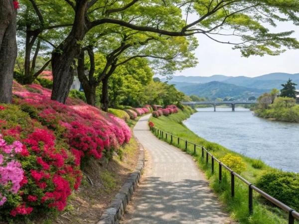 杉並区桃井１丁目の中古一戸建て(桃井原っぱ公園)