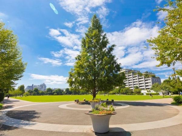 杉並区桃井１丁目の中古一戸建て(桃井原っぱ公園)
