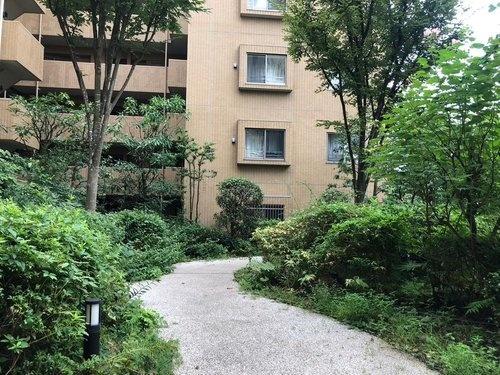 アデニウム吉祥寺
