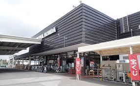 市原市君塚3丁目(ジョイフル本田市原店)