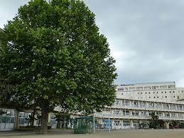 千葉市中央区椿森6丁目(千葉市立椿森中学校)