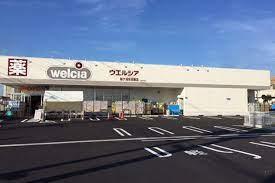 袖ケ浦市奈良輪の土地(ウエルシア袖ケ浦奈良輪店)