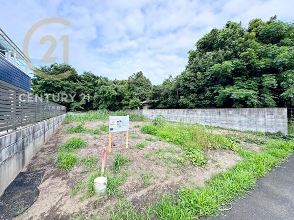 茂原市茂原の土地