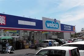 君津市外箕輪の中古一戸建て(ウエルシア君津外箕輪店)