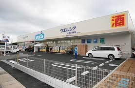 木更津市若葉町の新築一戸建(ウエルシア木更津高柳店)