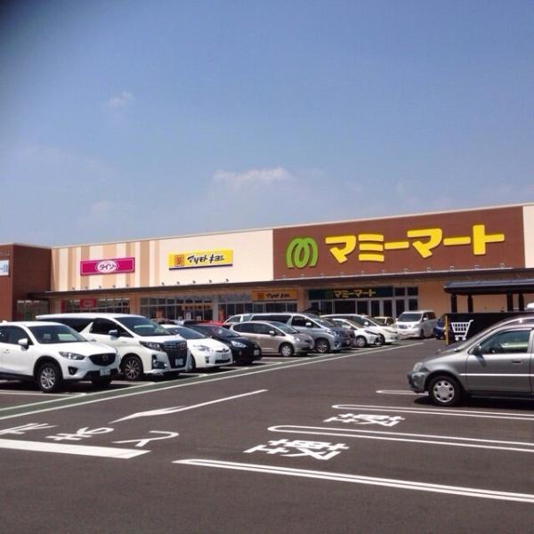 松戸市胡録台(マツモトキヨシマミーマート松戸新田店)