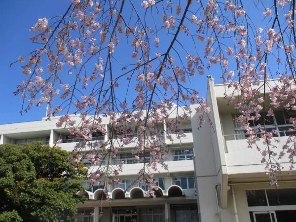 袖ケ浦市上泉の中古一戸建て(袖ケ浦市立平岡小学校)