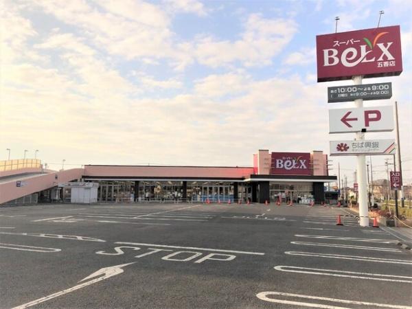 柏市南逆井(ベルクス五香店)