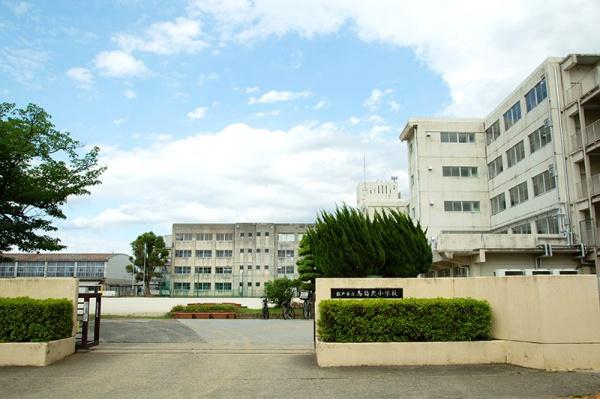 松戸市新松戸南2丁目(松戸市立馬橋北小学校)