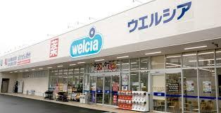 豊橋市草間町東山新築戸建(全3棟)2号棟(ウエルシアイオンタウン豊橋橋良店)