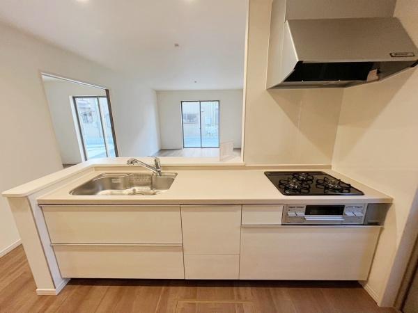新城市西入船　新築戸建（全2棟）１号棟リーブルガーデン
