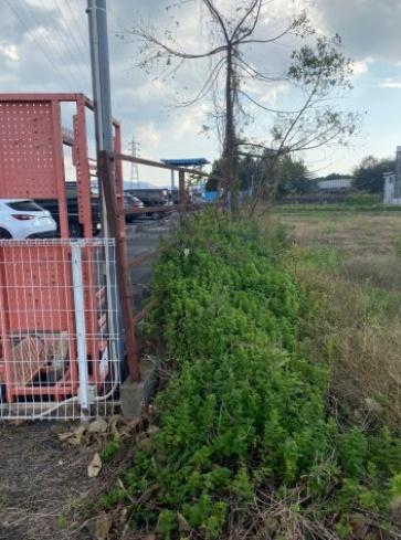 豊川市篠田町弘法野の土地