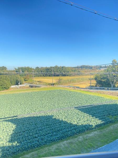 豊橋市伊古部町字幸道の中古一戸建て