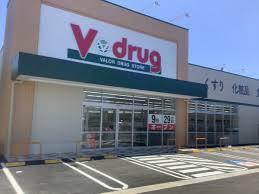 豊橋市向山東町の中古一戸建て(V・drug豊橋西岩田店)