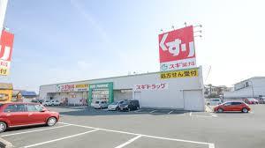 豊橋市東小鷹野 新築戸建(全3棟)3号棟グラファーレ(スギ薬局井原店)
