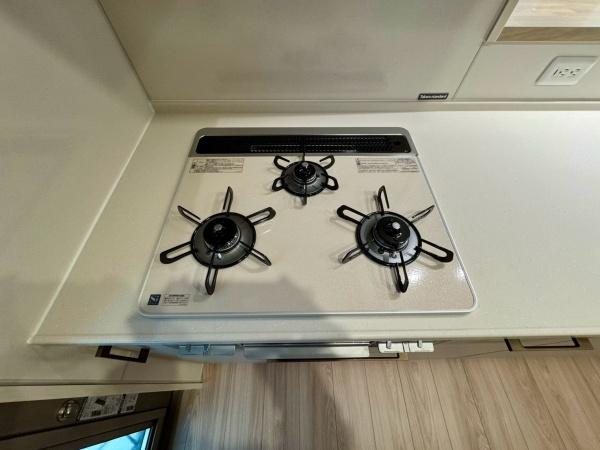 豊橋市牟呂大西町　新築戸建（全１棟）