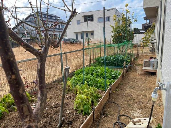 豊橋市上野町字上野の中古一戸建て