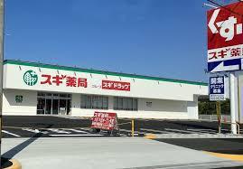 豊橋市曙町23ー1期新築戸建(全6棟)4号棟リナージュ(スギドラッグ豊橋曙店)