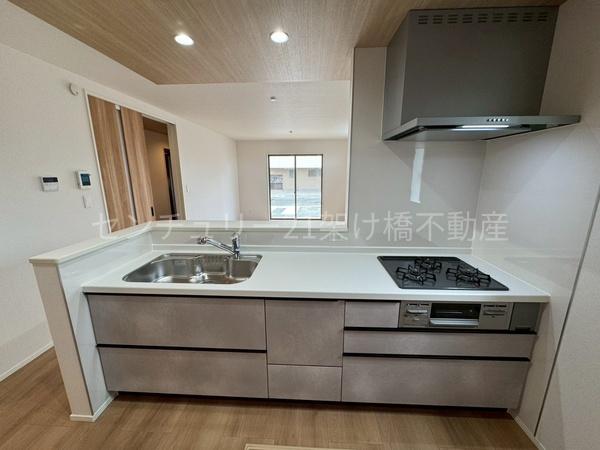 豊橋市東幸町　新築戸建（全３棟）１号棟　グラファーレ