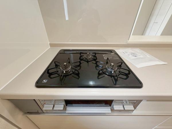 豊橋市緑ヶ丘1丁目　新築戸建（全3棟）3号棟リーブルガーデン