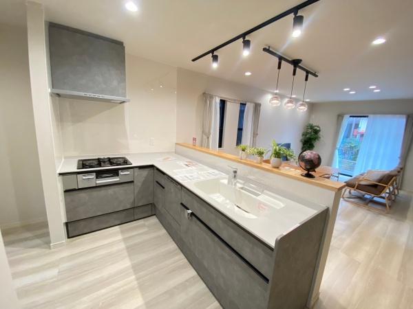 豊川市東豊町４丁目　新築戸建（全１棟）