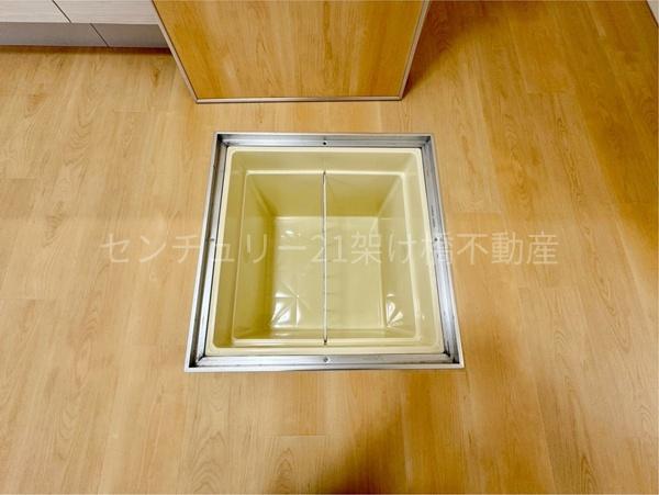 豊川市三蔵子町野河薮の中古一戸建て(収納)