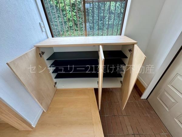 豊川市三蔵子町野河薮の中古一戸建て(収納)