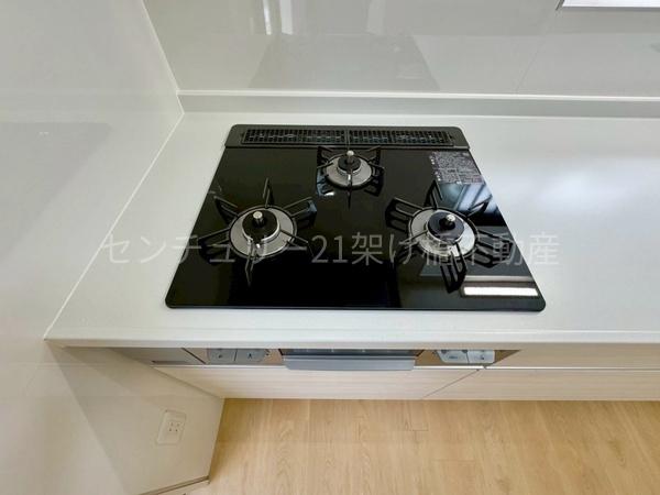 豊川市三蔵子町野河薮の中古一戸建て(その他設備)