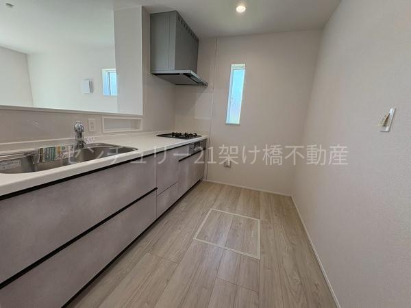 豊川市平尾町24-1期　新築戸建（全４棟）１号棟リナージュ