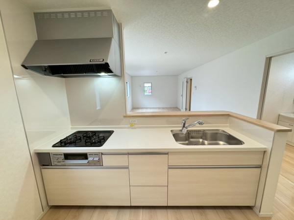 豊川市美園第14　新築戸建（全２棟）１号棟クレイドルガーデン