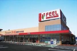 豊橋市西幸町 新築戸建(全1棟)(フィール豊橋あけぼの店)