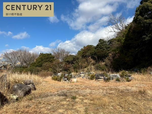 豊橋市大岩町北山　土地