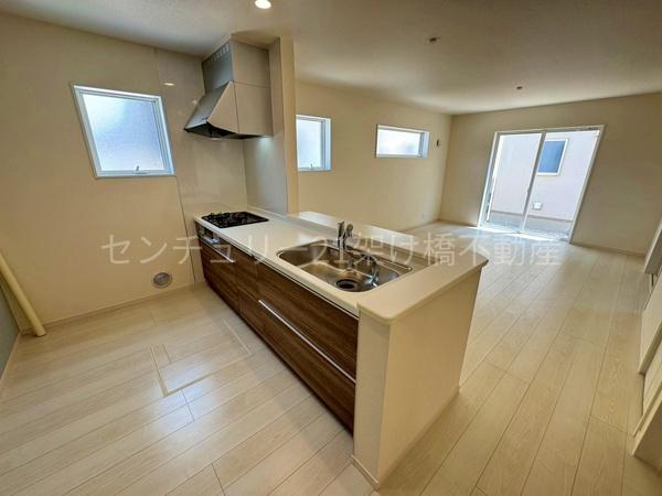 豊川市市田町第１期　新築戸建（全3棟）1号棟