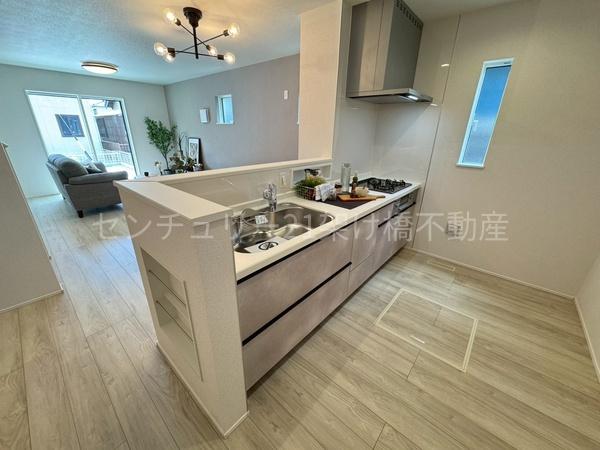 豊橋市松井町23-1期　新築戸建（全7棟）7号棟