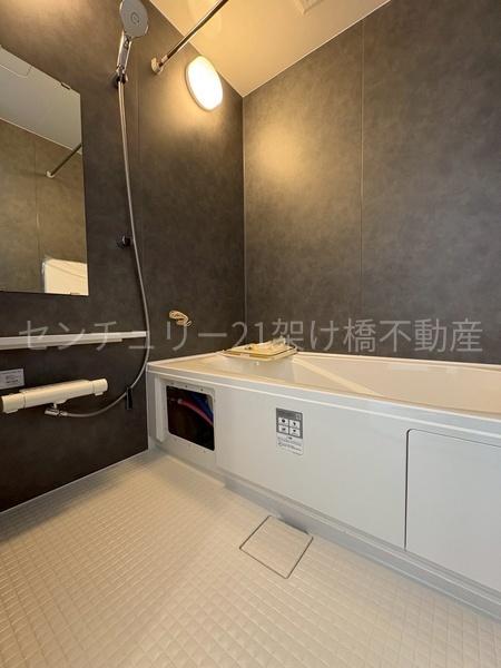 豊橋市前芝町西青　新築戸建（全１棟）