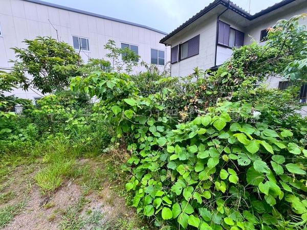 豊橋市大脇町字大脇ノ谷の土地