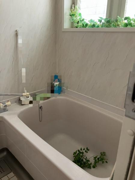 豊川市美園2丁目の中古一戸建て(バス)