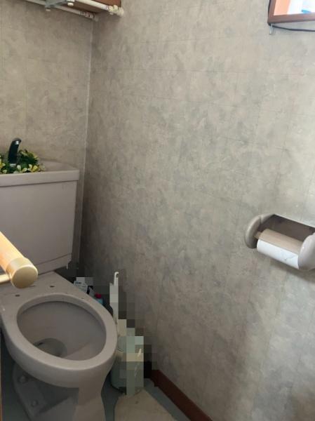 豊川市美園2丁目の中古一戸建て(トイレ)