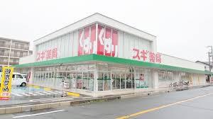 グラン・ドムール東脇(スギ薬局牟呂店)