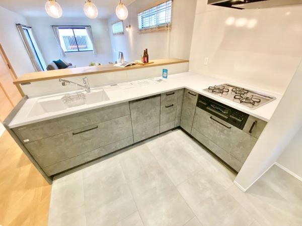 豊橋市上野町新上野1　新築戸建（全４棟）４号棟