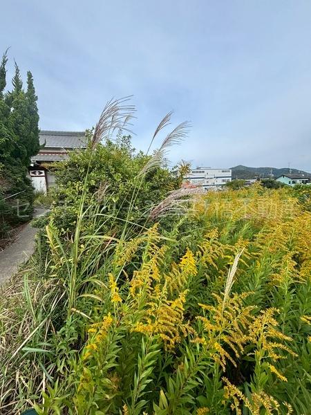 豊橋市西幸町字東脇の土地